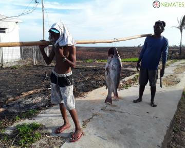 Ikan besar yang berhasil ditangkap warga setempat, laut di sekitar Batu Goyang kaya akan produk laut